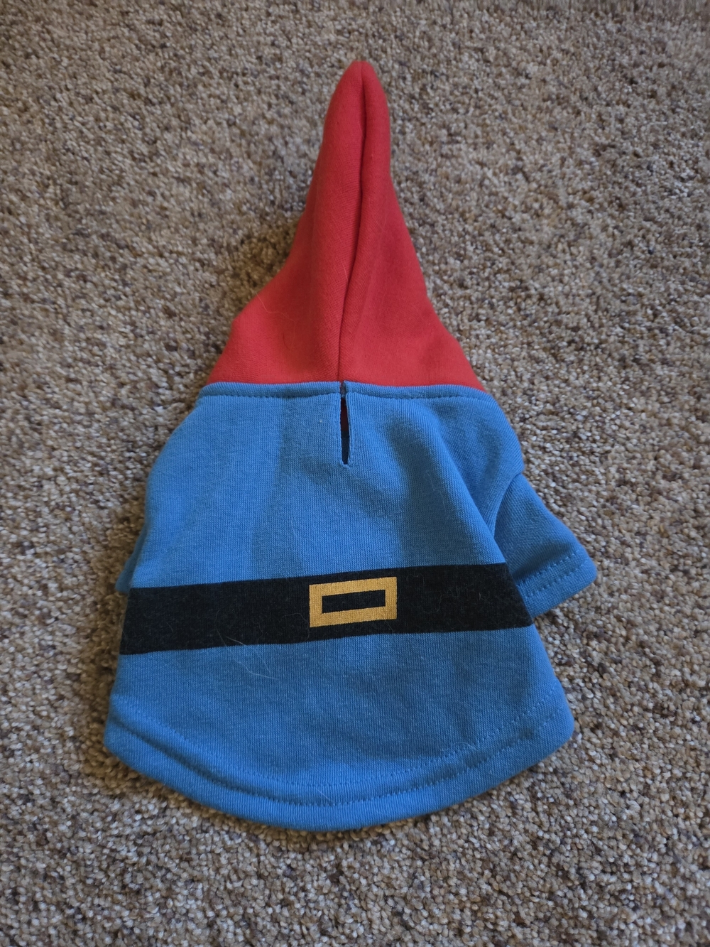 Dogs Gnome Costume
